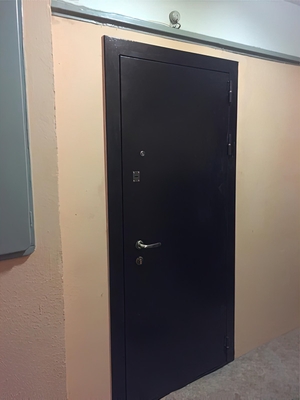 Порошковая квартирная дверь (Перервинский бульвар) Порошковая квартирная дверь (Перервинский бульвар)